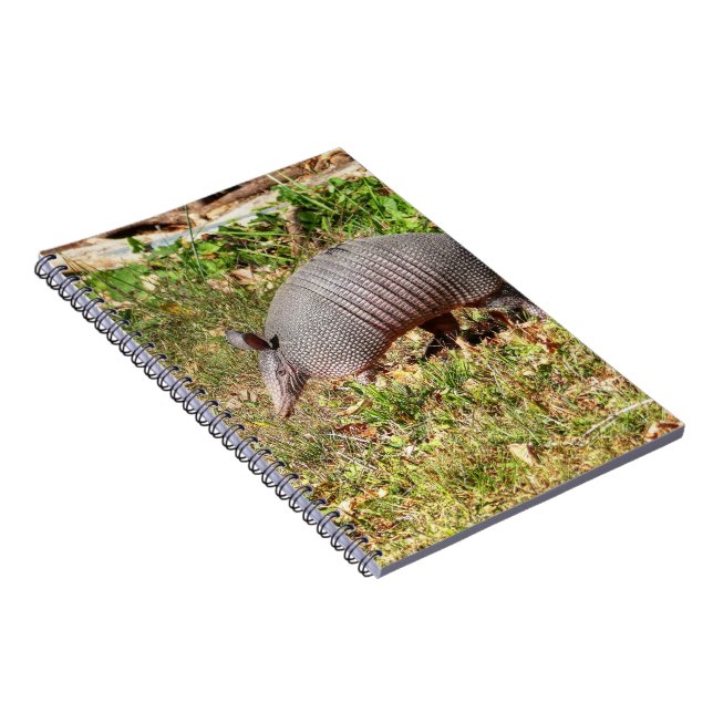 Armadillo Anteckningsbok (Högra Sidan)