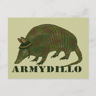 Armadillo Armadillo Vykort
