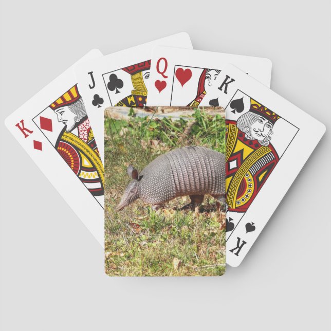 Armadillo Casinokort (Baksidan)