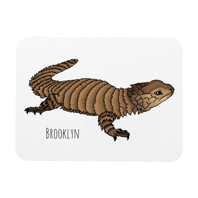 Armadillo gidled lizard tecknad illustration magnet (Horisontell)