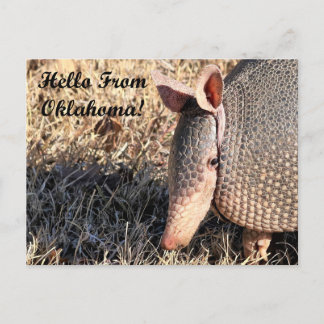 Armadillo Hej från Oklahoma-postkort Vykort