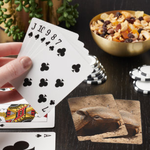 Armadillo i Hål, som Hejer Casinokort
