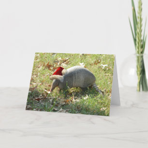 Armadillo-julkort Helgkort