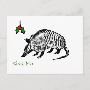 Armadillo Kiss Me Vykort