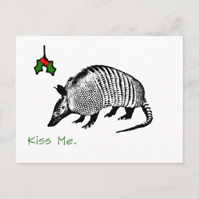 Armadillo Kiss Me Vykort (Framsida)