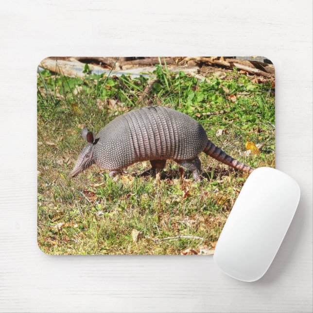 Armadillo Musmatta (Med mus)