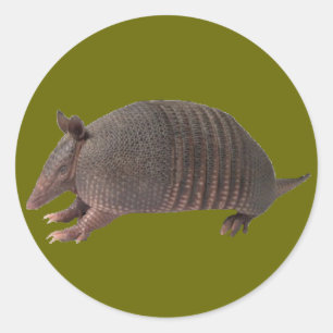 Armadillo normal runt klistermärke