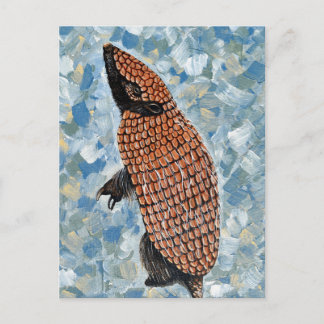 Armadillo Painting Vykort