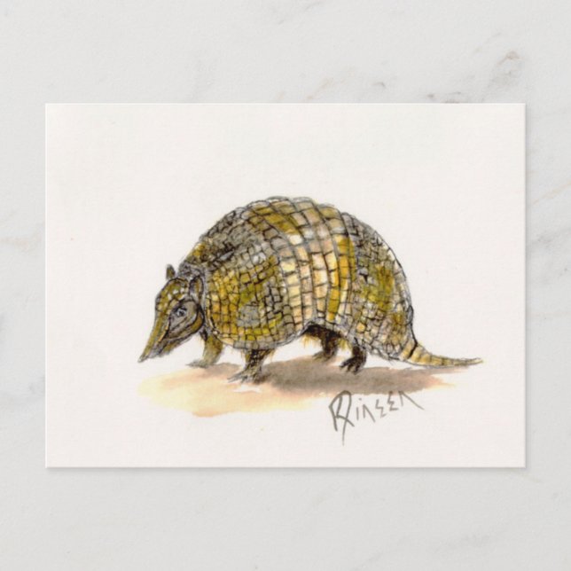 Armadillo Postcard Vykort (Framsida)