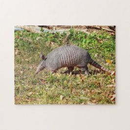 Armadillo Pussel