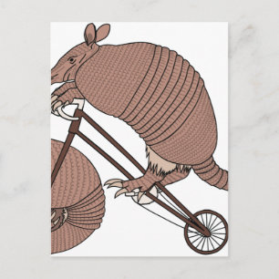 Armadillo Riding Bike with Armadillo Wheel Vykort