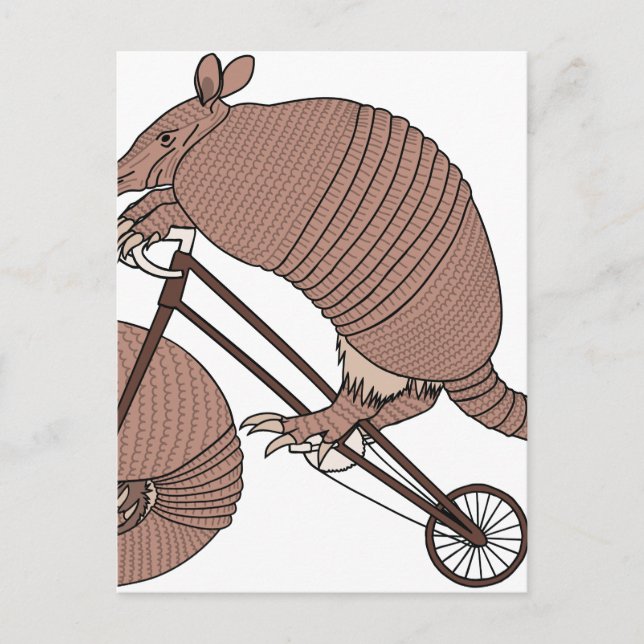 Armadillo Riding Bike with Armadillo Wheel Vykort (Framsida)
