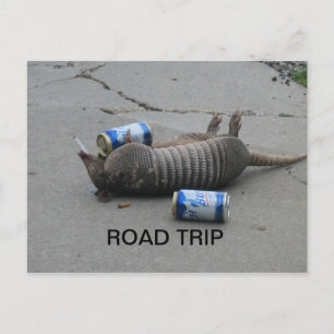 Armadillo Road Resa Vykort