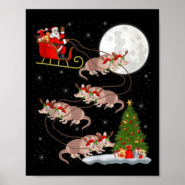 Armadillo Santa Sleigh Flying Funny Magical Christ Poster (Framsidan)