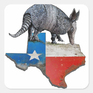 Armadillo Texas Statlig flagga Karta Fyrkantigt Klistermärke