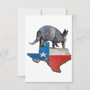 Armadillo Texas Statlig flagga Karta Tack Kort