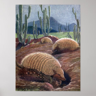 Armadillos av Louis Sargent, Vintage Vilda djur Poster