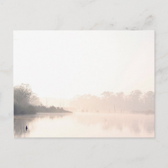 Armand Bayou dimand Vykort (Framsida)