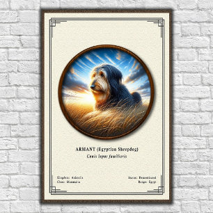 Armant (egyptisk fårehund) Zoologisk serie Poster