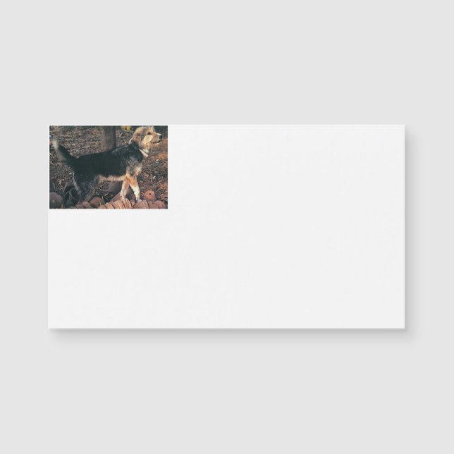 Armant full.png (Framsida)
