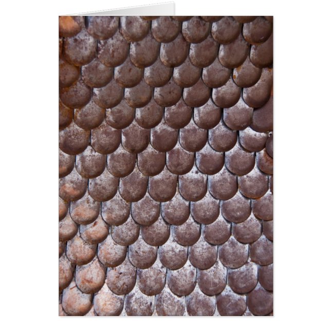  armé OBS kort (Framsidan)