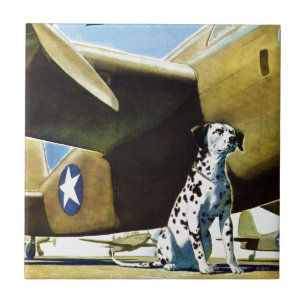 Arméhund Kakelplatta