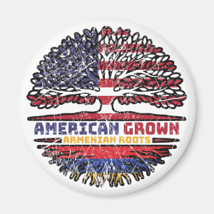 Armenien, USA, Förenta staterna, Stater Magnet