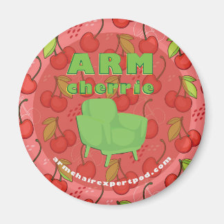 ArmOrdförande Expert Podcast Car Magnet