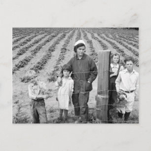 Arnold Family's New Farm - 1939 Vykort