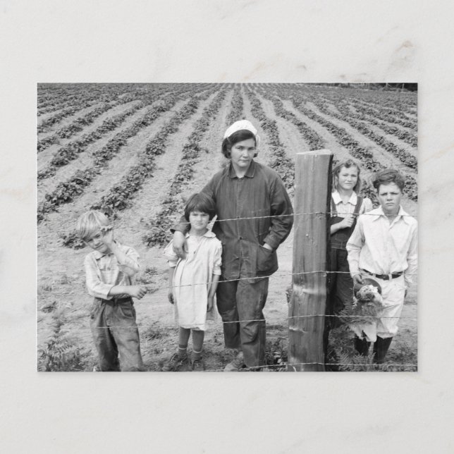 Arnold Family's New Farm - 1939 Vykort (Framsida)