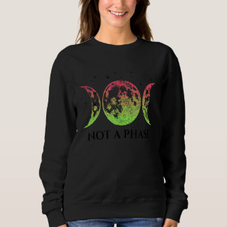 Aroflux Pride Flag Not A Phase Aroflux Flag T Shirt