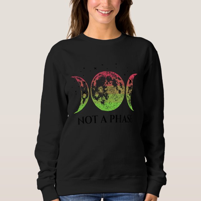 Aroflux Pride Flag Not A Phase Aroflux Flag T Shirt (Framsida)