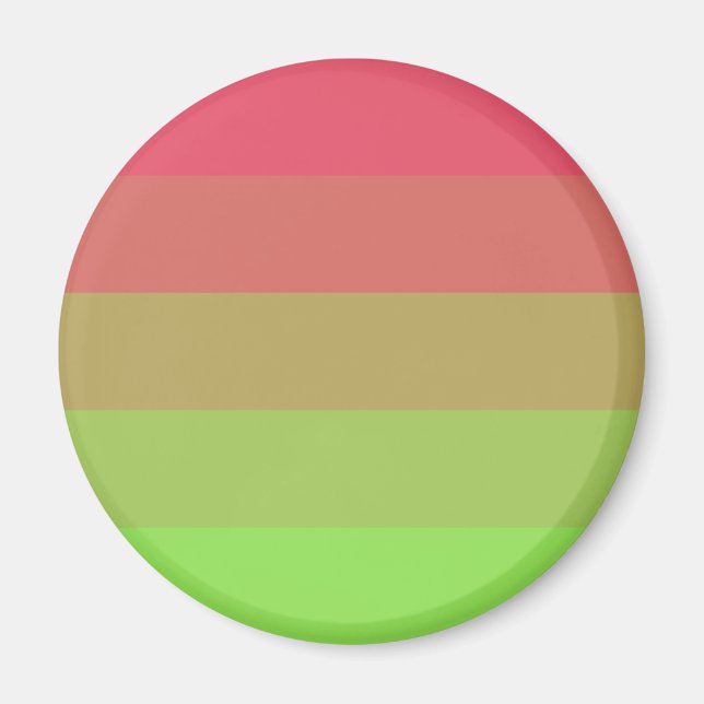 Aroflux Pride Flagga Magnet (Framsidan)