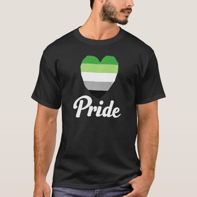 Aromantic Gay pride Rainbow Ord 2 T Shirt (Framsida)