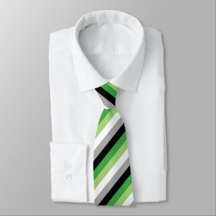 Aromantisk Flagga Neck Tie Slips