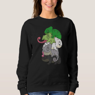 Aromantisk Flagga Pride Lgbtq Chameleon T Shirt