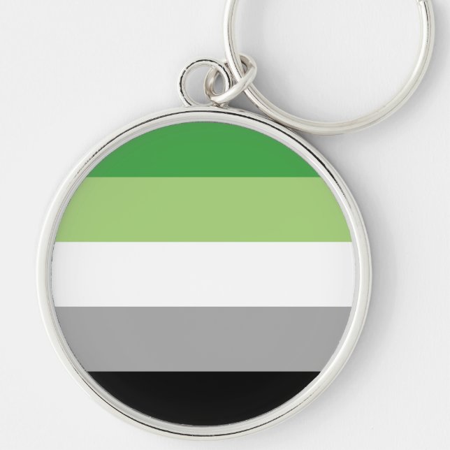 Aromantiska Pride Flagga HBTQ Rund Silverfärgad Nyckelring (Framsidan)