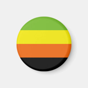 Aromantiska Prideflagga Magnet