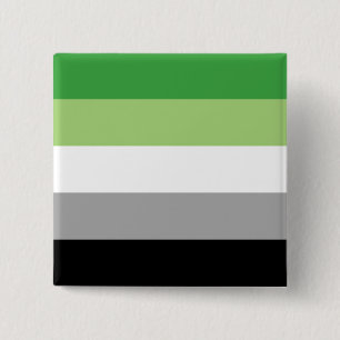 Aromantiskt Pride Flagga HGBTQ Knapp