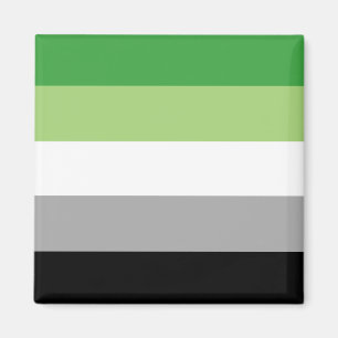 Aromantiskt Pride Flagga Magnet