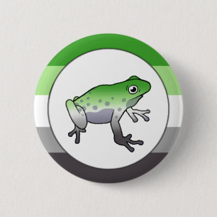 Aromantiskt Pride Frog Pin Knapp