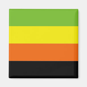 AROMANTISKT PRIDE MAGNET