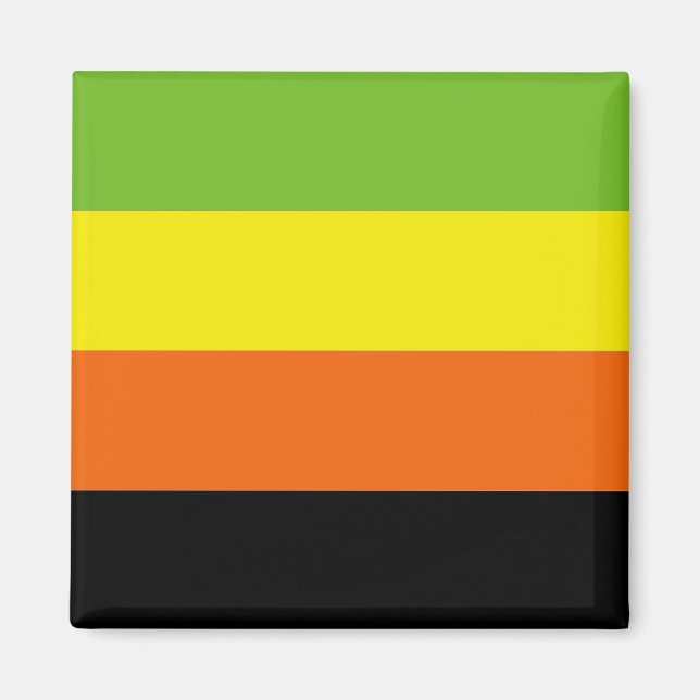 AROMANTISKT PRIDE MAGNET (Framsidan)