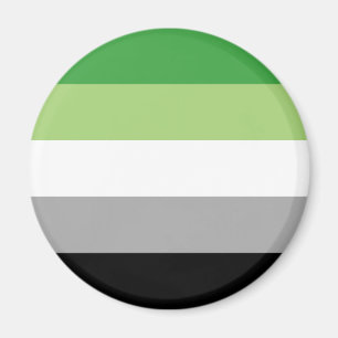 Aromantiskt Pride Rand Magnet