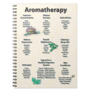 Aromatherapyömt ställe hänvisar till kartlägge anteckningsbok