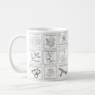 Aromatherapyväxten skissar muggen kaffemugg