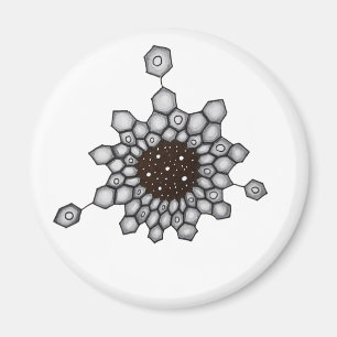 Aromatiska strukturspaltstenar för organisk kemi magnet