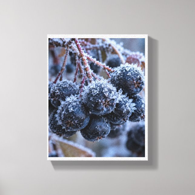 Aronia frost makro canvastryck (Framsida)