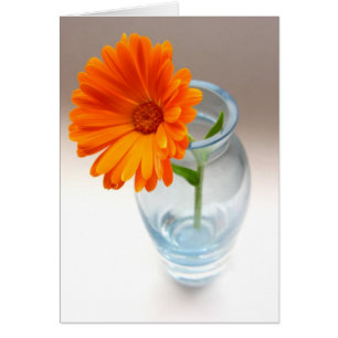 Arrangemang blommigt OBS kort