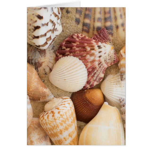 Arrangemang Hälsningskort (Framsidan)